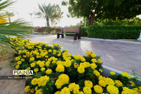 کرونا را شکست می‌دهیم