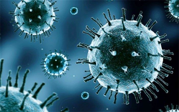 ورود طب سنتی و مکمل ظرفیتی ارزشمند برای قطع زنجیره انتقال کرونا