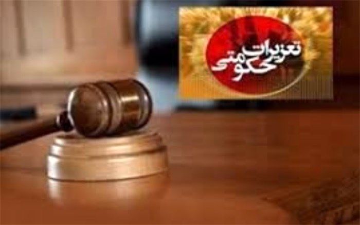 تاکید سخنگوی تعزیرات بر لزوم دقت بیشتر مردم در خریدهای اینترنتی