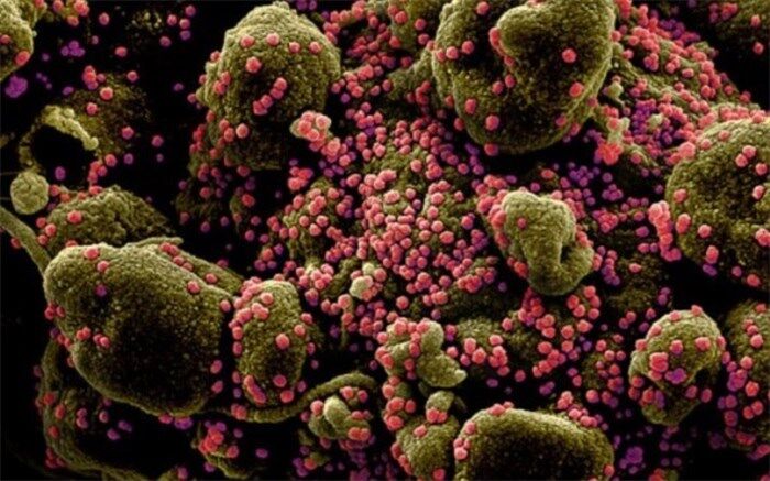 جدیدترین اقدامات کشورها برای مقابله با کرونا