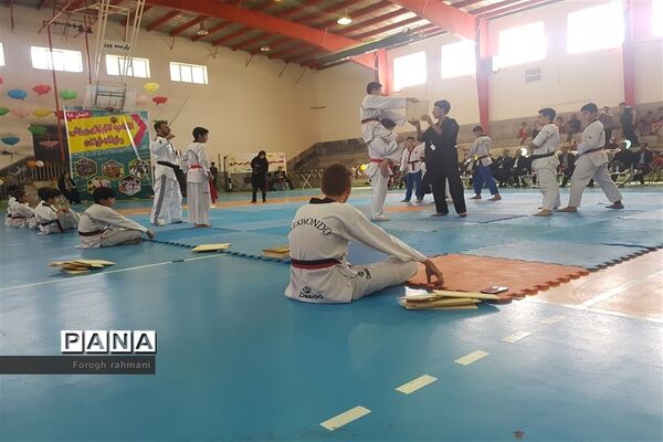 عکس‌های منتخب سال 1398 استان کرمانشاه