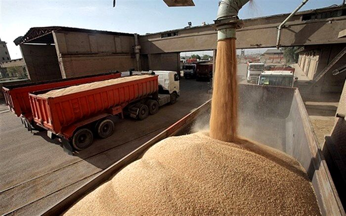 همه واحدهای عملیاتی شرکت بازرگانی دولتی ایران فعال هستند