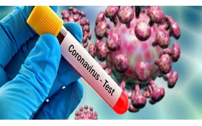 آیا بیدار خواهیم شد؟! + فیلم