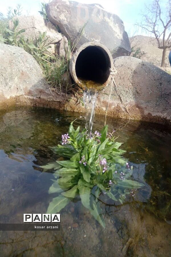 طبیعت بهاری روستا تقوک