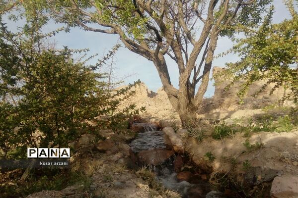 طبیعت بهاری روستا تقوک
