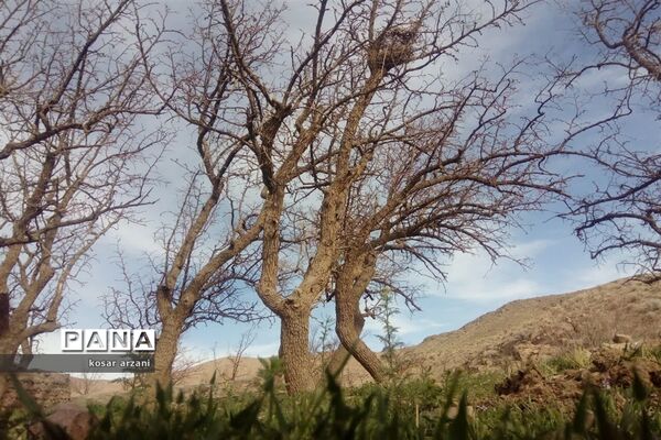 طبیعت بهاری روستا تقوک