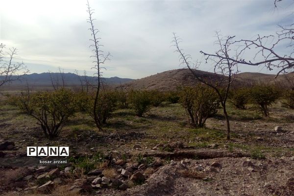 طبیعت بهاری روستا تقوک