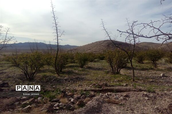طبیعت بهاری روستا تقوک