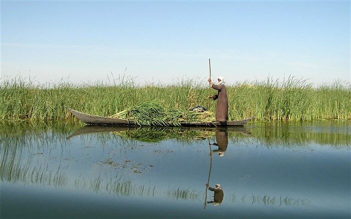 بیش از 40 درصد تالاب هامون آبگیری شد
