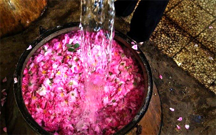 جشنواره گلابگیری امسال در کاشان برگزار نمی شود‌‎