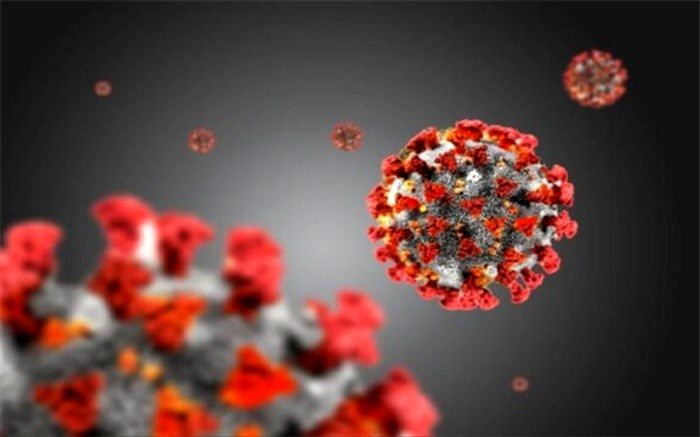 دولت در درمان کرونا خارج از مرزها گام برداشت