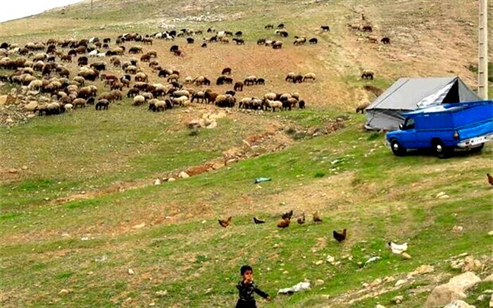 کوچ عشایر برای جلوگیری از شیوع کرونا یک ماه به تاخیر می‌افتد