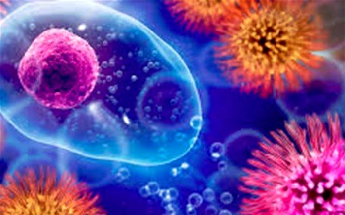 آنچه باید از هانتاویروس بدانید