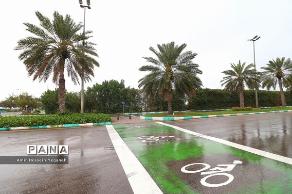 طراوت بهاری باران در روزهای کرونایی کیش