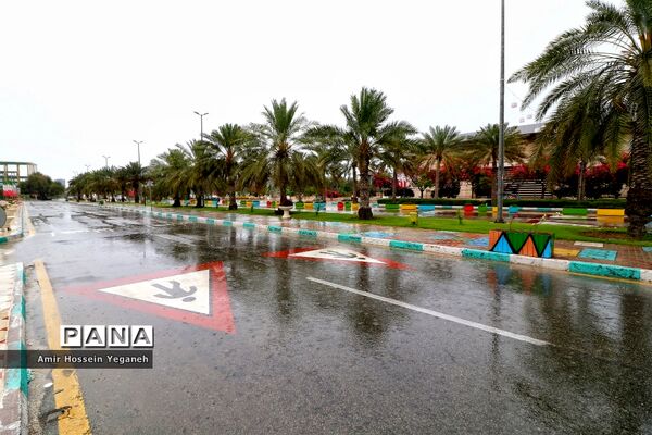 طراوت بهاری باران در روزهای کرونایی کیش