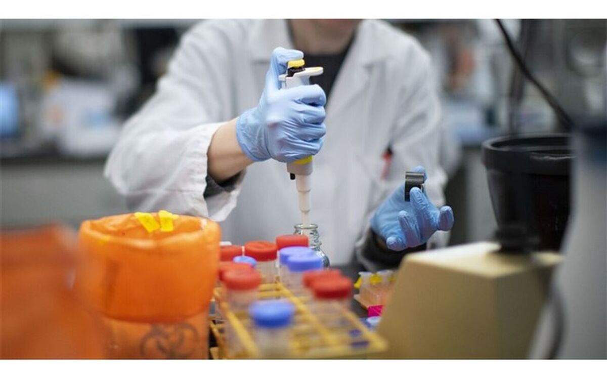 ۵۶ مرکز جامع سلامت دانشگاهی وغیردانشگاهی در همراهی با مراکز بیمارستانی کار نمونه گیری مبتلایان به کروناویروس را به عهده خواهند  داشت