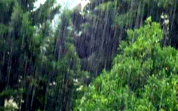 بارش باران در اکثر مناطق کشور