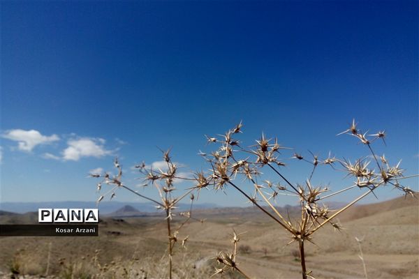 طبیعت زیبای روستا سنجدوک