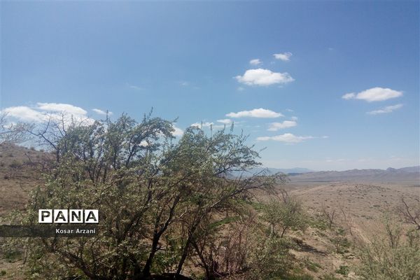 طبیعت زیبای روستا سنجدوک