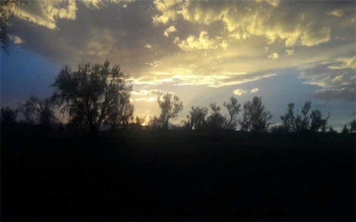 باران همچنان مهمان مردم یزد است