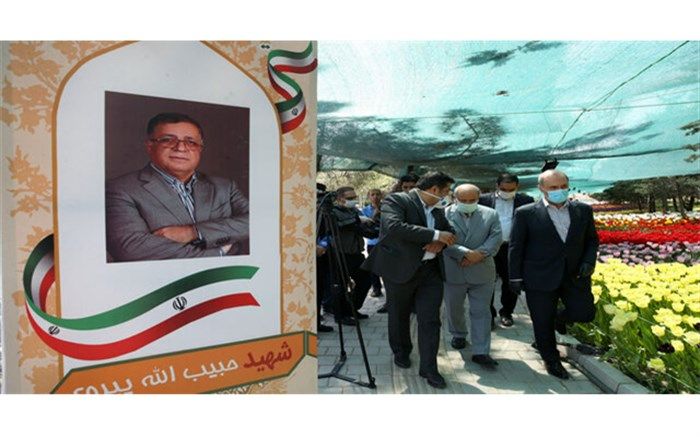 کاشت بیش از ۲۳۰ هزار لاله به یاد شهدای سلامت