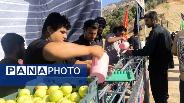 پیاده‌روی حرم تا حرم جاماندگان اربعین 