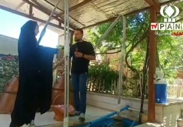 مراسم گلابگیری در قمصر کاشان، پایتخت گل و گلاب