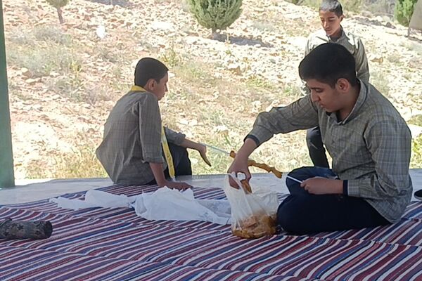اعزام دانش آموزان پیشتاز  پسر ناحیه ۳ به اردوی مهارتی پیشتازان 