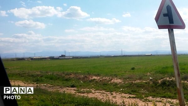 زمین های جاده نیشابور-میان‌جلگه میزبان بهار شد 