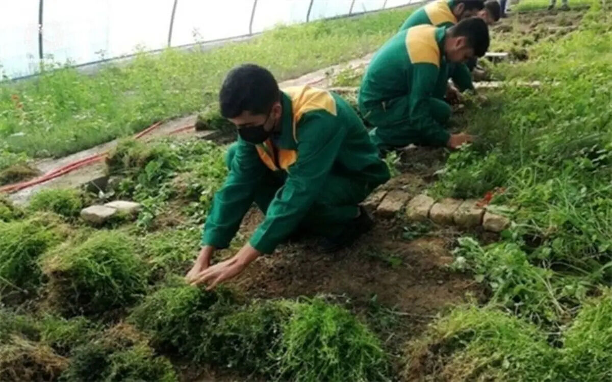 آموزش فنی و مهارتی به دانش‌آموزان، حلقه اتصال سرمایه انسانی به بهره‌وری واقعی است