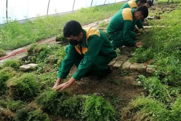 آموزش فنی و مهارتی به دانش‌آموزان، حلقه اتصال سرمایه انسانی به بهره‌وری واقعی است