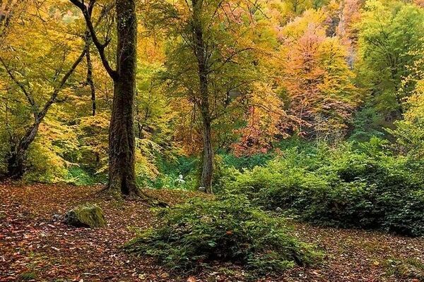 تثبیت مالکیت سازمان حفاظت محیط‌زیست بر ۷ هزار متر مربع اراضی پارک ملی گلستان
