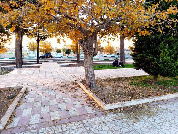 طبیعت زیبای کاشمر در پاییز