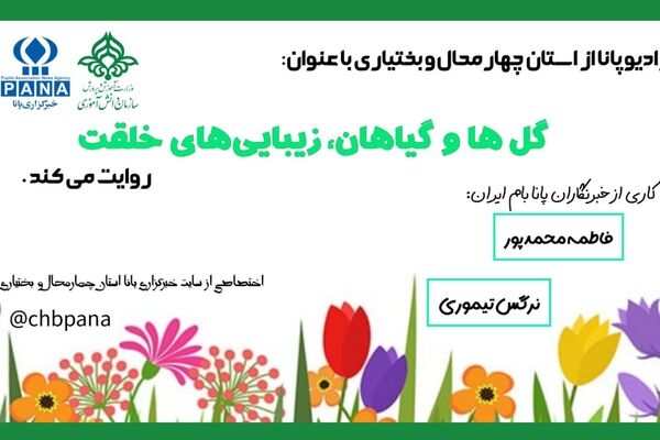 گل ها و گیاهان زیبایی های خلقت