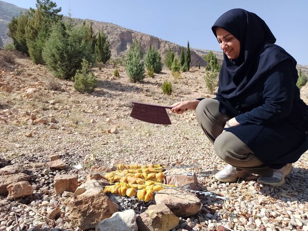اردوی تشکیلاتی مربیان پیشتازان در اردوگاه امام خمینی(ره) شیراز 