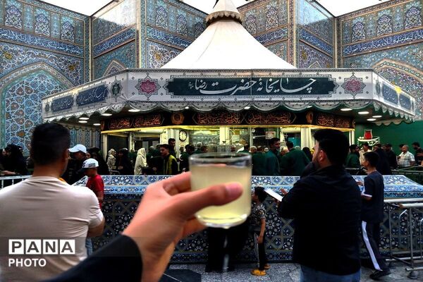در پناه آرامش؛ وقتی زمان در مشهد متوقف می‌شود