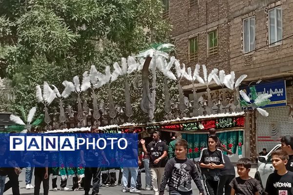 ایران سیاهپوش