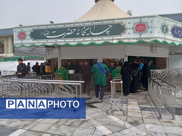 اردوی زیارتی و سیاحتی دارالقرآن سلسله الذهب در حرم مقدس امام رضا (ع)