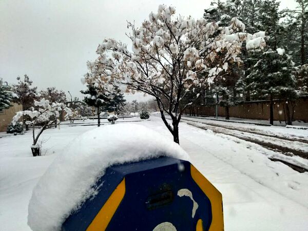 بارش برف در شهرستان تربت جام