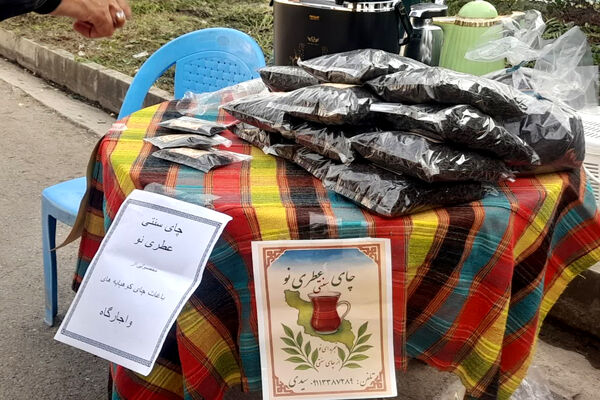 جشنواره‌ای با طعم چای بهاره گیلان