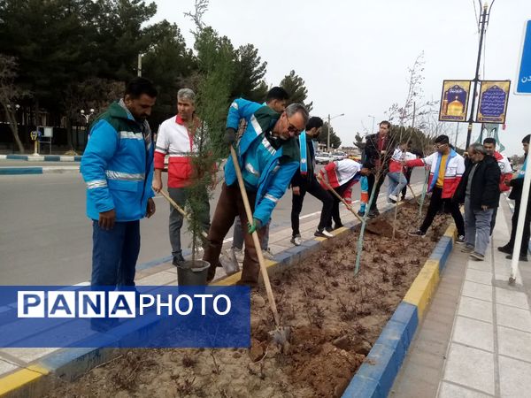 روز درختکاری در تربت جام