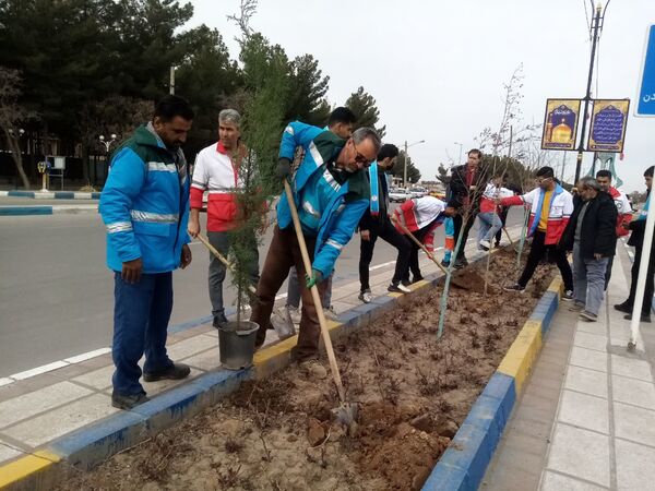 روز درختکاری در تربت جام
