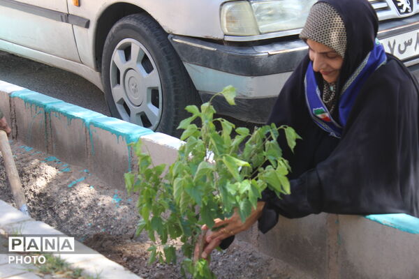 کاشت درخت به نام شهدا