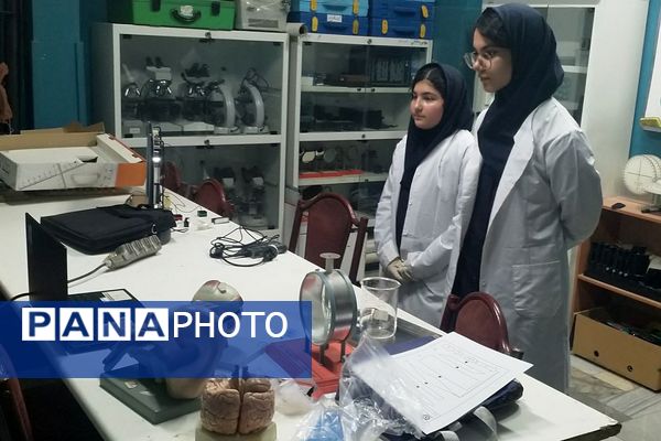 برگزاری جشنواره خوارزمی در پژوهشسرای بصیرت یک ناحیه دو شهرری 