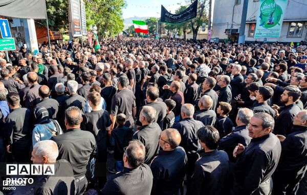 خروش «یا عباس» در پایتخت شور و شعور حسینی