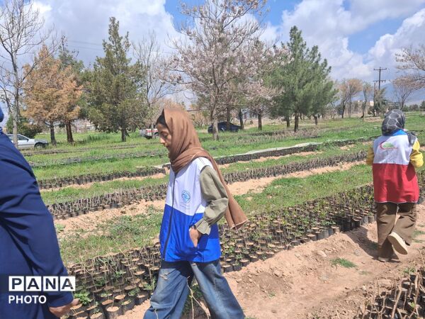 کاشت نهال به یاد شهدا  در نیشابور