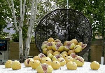 ایران جان با استهبان و میوه ی بهشتی اش 





