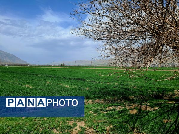 زیبایی های طبیعی شهرستان پاوه به روایت تصویر