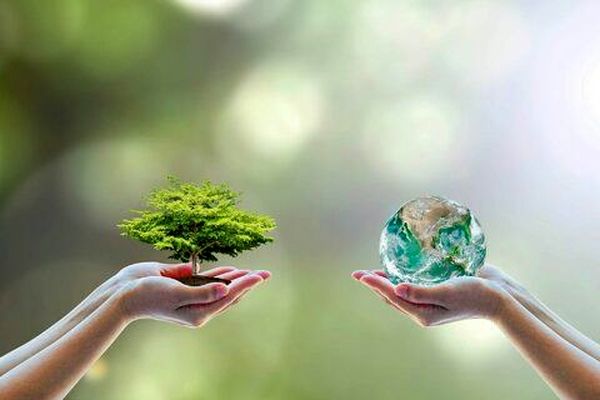 روز جهانی محیط زیست؛ یادآوری یک مسئولیت همگانی
