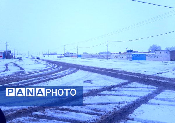 نسر در آغوش برف بهاری؛ زیبایی طبیعت دوچندان شد 